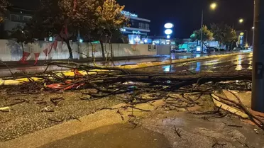 Edirne'de Sağanak Heyecanı