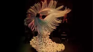 Emine Erdoğan, Filistin için yardım konserine katılacak