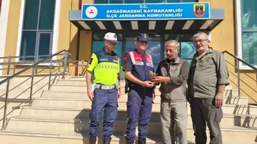 Yaralı Çakır Kuşu Tedavi Edildi