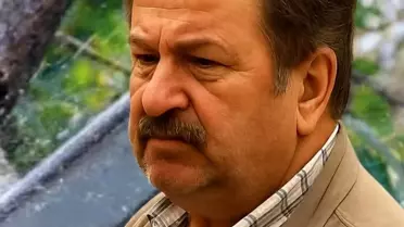 Kastamonu'da Ağaç Kesimi Faciası: Bir Ölü