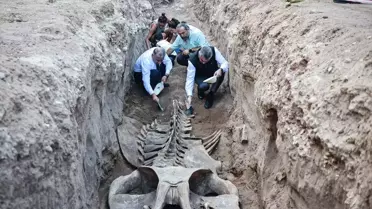 4 yıl önce gömülmüştü, topraktan çıkarılıyor! Boyu tam 14 metre