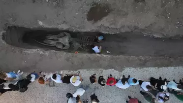 Fin Balinası İskeleti Gün Yüzüne Çıkıyor