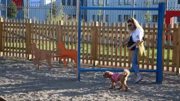 Kayseri'de Köpek Eğitim Parkuru ile Pati Dostlara Destek