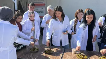 Üniversite Öğrencileri Çubuk Turşu Atölyesini Ziyaret Etti