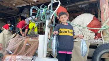 'Bu yıl olmaz' diyorlardı, Karadeniz'den müjde geldi