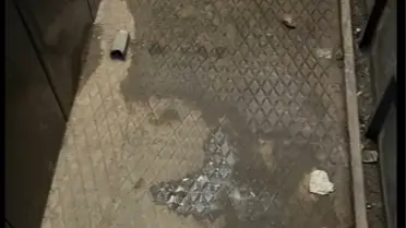 Diyarbakır'da 11 Kaçak Göçmen Yakalandı