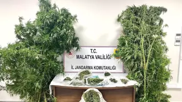 Malatya'da Uyuşturucu Operasyonu: 5 Tutuklama