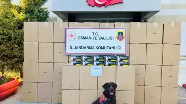 Osmaniye'de 1,25 Milyon Makaron Ele Geçirildi