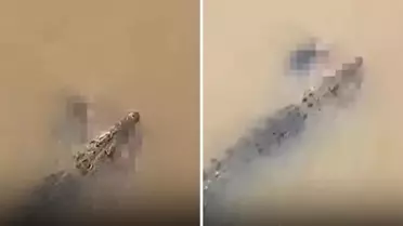 Timsah, nehirde yıkanan kadını suya çekerek ölürdü