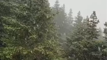 Uludağ'da beklenen yağış geldi! İlk kar taneleri düştü