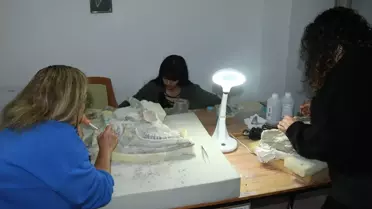 Çankırı'da 9 Milyon Yıllık Zürafa Fosili Bulundu