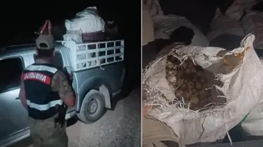 Endemik dağ sarımsağı toplayan kişiye 557 bin lira ceza