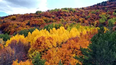 Geminbeli Geçidi'nde Sonbahar Renkleri