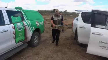 Kaçak Kuş Taşıyana Cezalar Kesildi