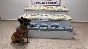 Başkale'de 48 Kilo Skunk Ele Geçirildi