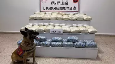 Başkale'de 47 Kilo Skunk Ele Geçirildi