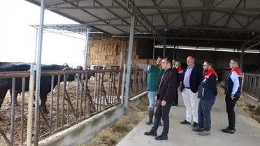 Edirne'de Hayvancılık İşletmesi Ziyareti