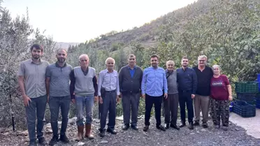 Gazipaşa Çekirdeksiz Narında Hasat Sezonu Başladı