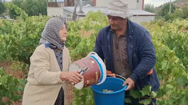 Beypazarı'nda Pekmez Zamanı