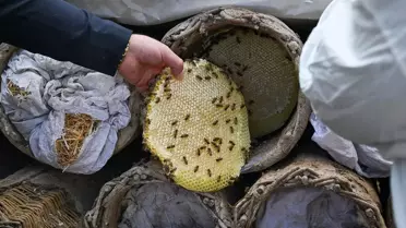 Van'da Turistler Arıcılığı Deneyimledi