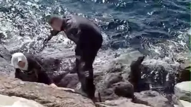 Denize Düşen Kadın Kurtarıldı