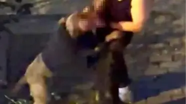 Bahçelievler'de Pitbull Sahibine Saldırdı