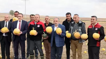 Başkan Yalçın Kabak Hasadında