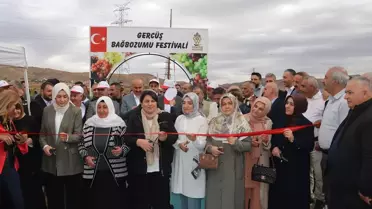 Batman'da Bağ Bozumu ve Gastronomi Festivali