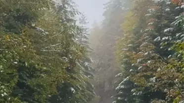 Bolu'da Kar Yağışı Etkili Oldu