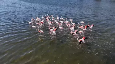 İzmir'de Sonbahar Renkleri