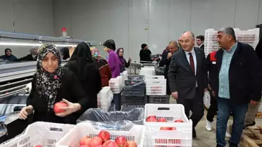 Denizli'den İlk Nar İhracatı Başladı