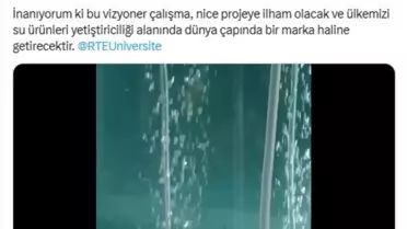 Emine Erdoğan'dan Mersin Balığı Koruma Projesine Destek