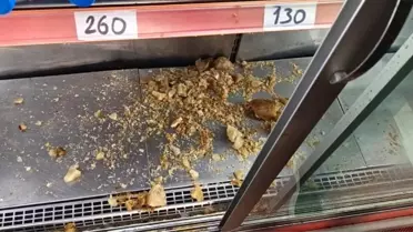 Tavuk Dünyası'nda Korku Dolu Anlar
