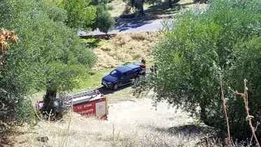Nazilli'de Maki Yangını Zeytinliğe Sıçradı