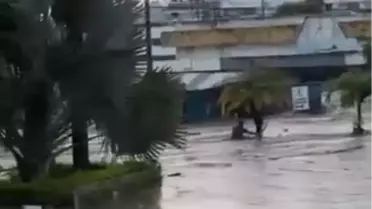 Meksika'da Sel Felaketi: 41 Ölü