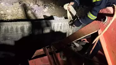 Siirt'te İnek Kanaldan Kurtarıldı