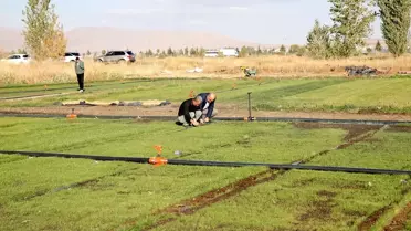 Erzurum'dan Patentli Topraksız Rulo Çim