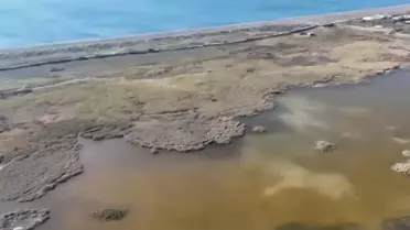 Akça Cılıbıt Samandağ'da Görüntülendi