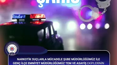 Bingöl'de Aranan Zanlı Yakalandı