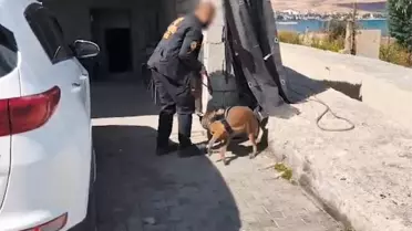 Bitlis'te Uyuşturucu Operasyonu: 5 Tutuklama