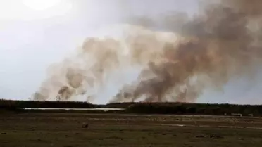 Güroymak'ta Sazlık Yangını