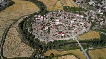 Tosya'da Çeltik Rekoltesi Yüzde 40 Düştü