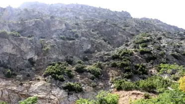 Eğirdir'de Kaybolan 75 Yaşındaki Adam Aranıyor