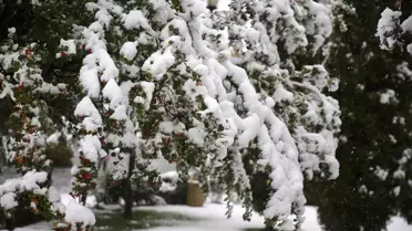 Erzurum'a Mevsimin İlk Karı Düştü