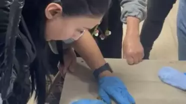 Esenyurt'ta Dilencilikte Şok: 67 Çeyrek Altın Ele Geçirildi