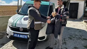 Yaralı Kızıl Şahin Tedavi Altında