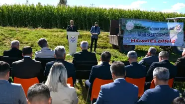 Battalgazi'de Mısır Hasadı Yapıldı