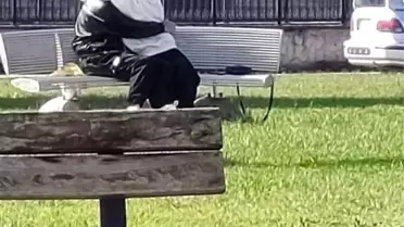 Akyazı Parkı'nda Uygunsuz Davranışlar