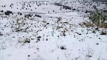 Posof'ta Kar Yağışıyla Beyaz Moda
