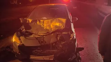 Kurtalan'da Eşeğe Çarpan Otomobil Sürücüsü Yaralandı